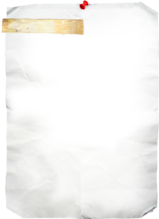 White Paper Text Area